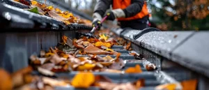 Gutter Cleaning in Richmond Why Fall Leaves Cause the Most Costly Clogs